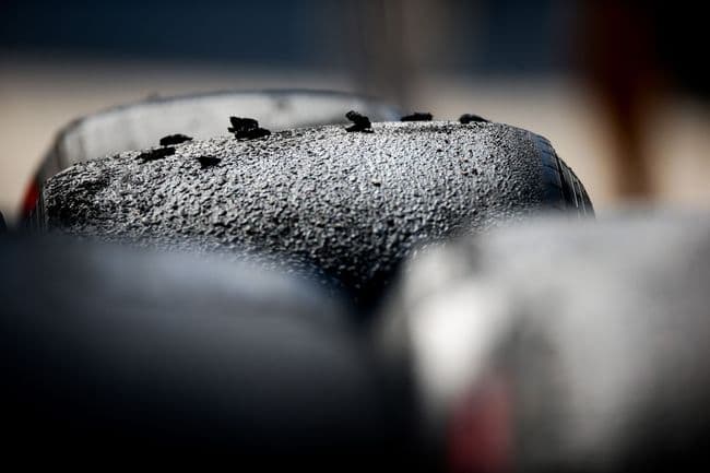 Des pneus AlphaTauri après des essais libres